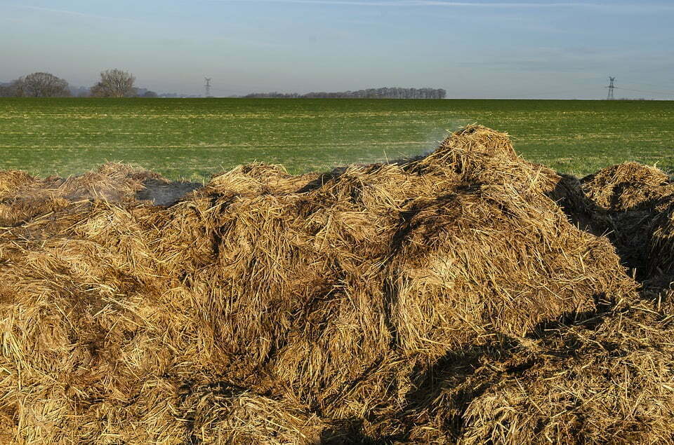 Concimazione invernale: come si fa