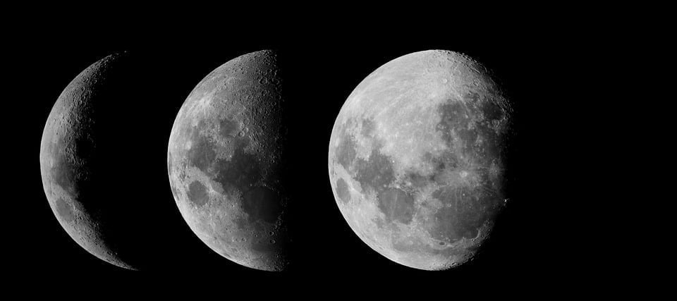 Fase lunare e semine: che cosa c’è da sapere